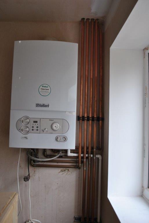 008b52cb a4e1 4686 bbc5 6c2bdbaf882b